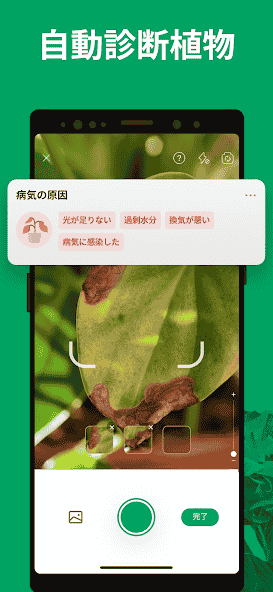 cn.danatech.xingseus