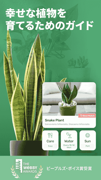 com.conceptivapps.blossom