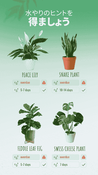 com.conceptivapps.blossom