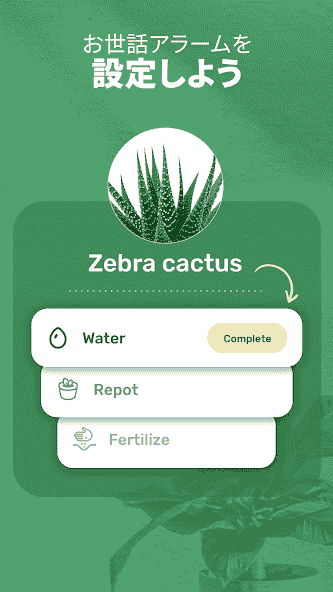 com.conceptivapps.blossom