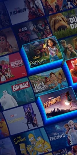 com.disney.disneyplus