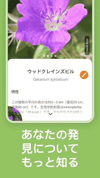 com.floraincognita.app.floraincognita
