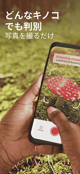 com.glority.picturemushroom