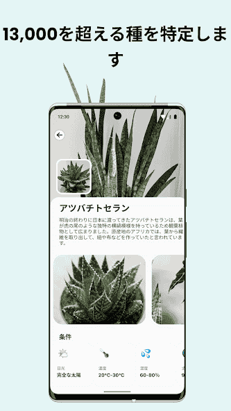 com.plant.identify.care.app