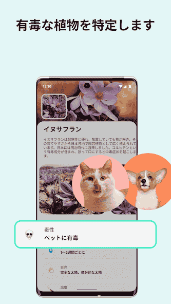 com.plant.identify.care.app