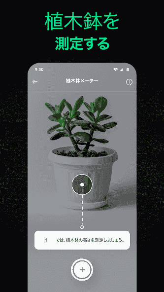 plant.identification.flower.tree.leaf.identifier.identify.cat.dog.breed.nature